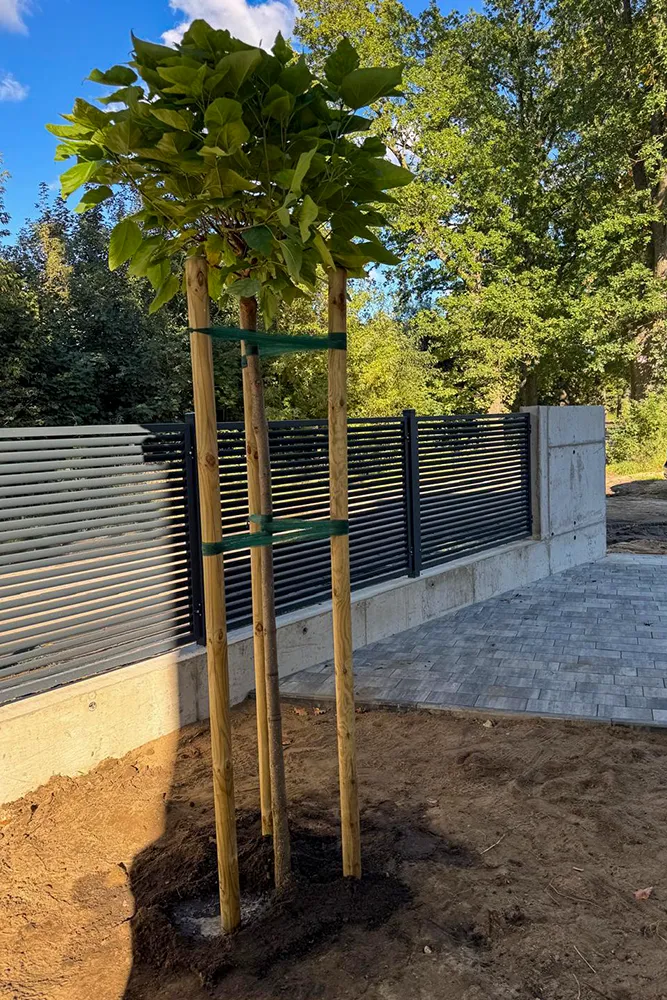 catalpapark - budowa wrzesień 2025